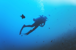 Cursos de Buceo 4 Especialidades + Aguas Abiertas Avanzado
