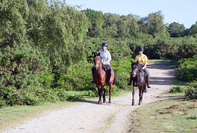  Équitation