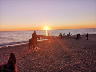 Équitation sur la plage à Capo Due Rami 4H