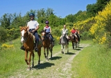 Fin de semana a caballo (Noches en Junior Suite) Maremma