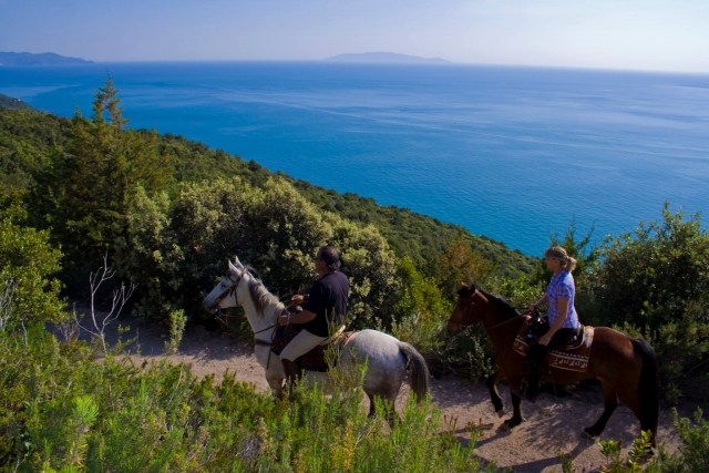  Caballo de costa y mar 