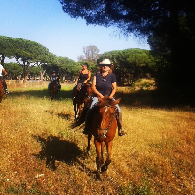  Frei reiten 