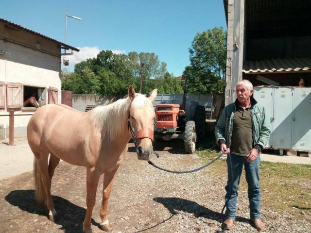 我们温顺的动物之一 