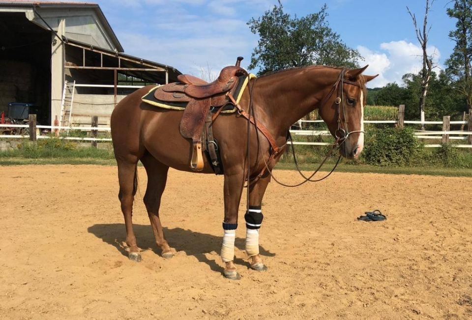  课程进行的围栏 