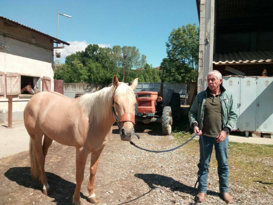 我们温顺的动物之一 