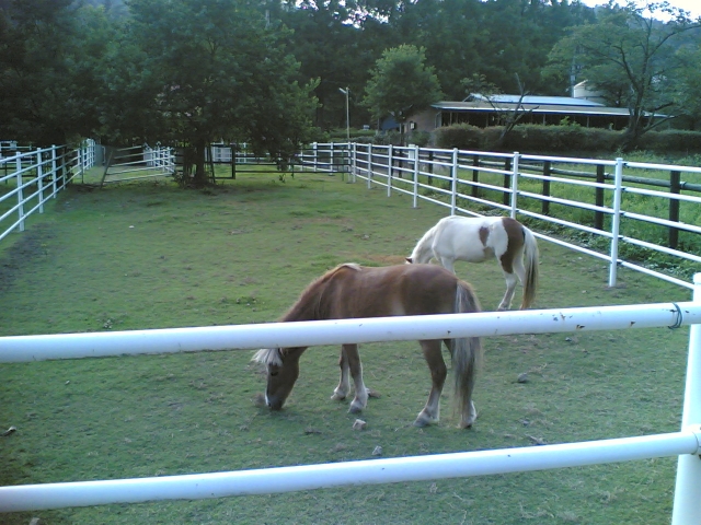 La casa dei nostri animali