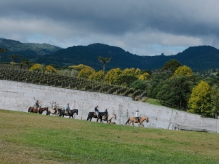 Paseo a caballo en Maremma 2 noches + excursión