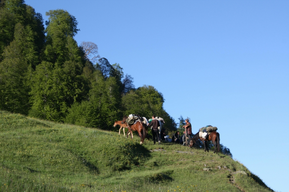  Passeios a cavalo 