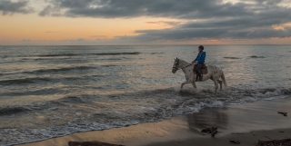 Journée à cheval Maremme - Cala di Forno