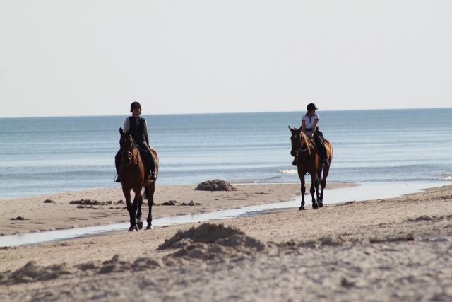 in spiaggia cavalcando