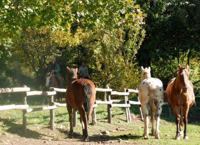 passeggiate a cavallo