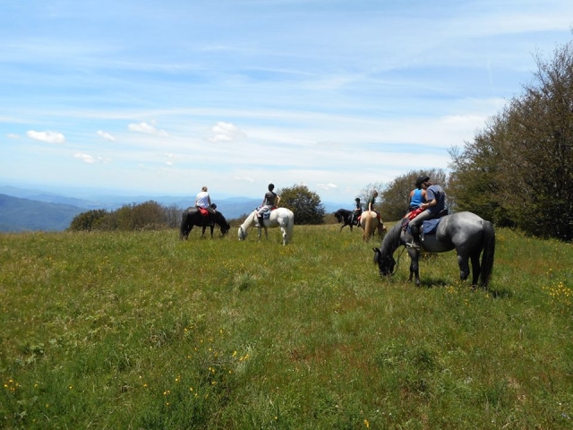 A caballo
