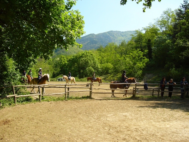  Las caballerizas en la montaña 