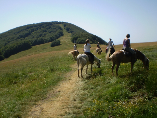  Paseos por la montaña 