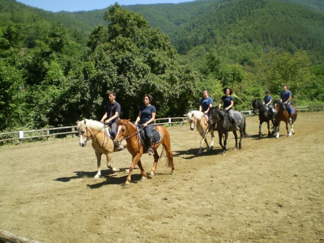  Lección en las caballerizas 