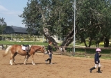 Horse riding Ragusa 1 hour