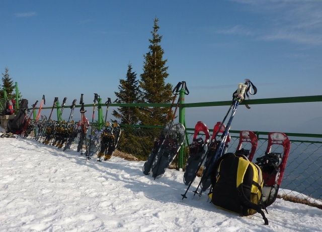  Snowshoes and poles 