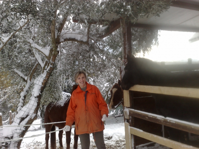 Immersed in the snow 