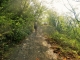 Passeggiate a Cavallo Varese Ligure