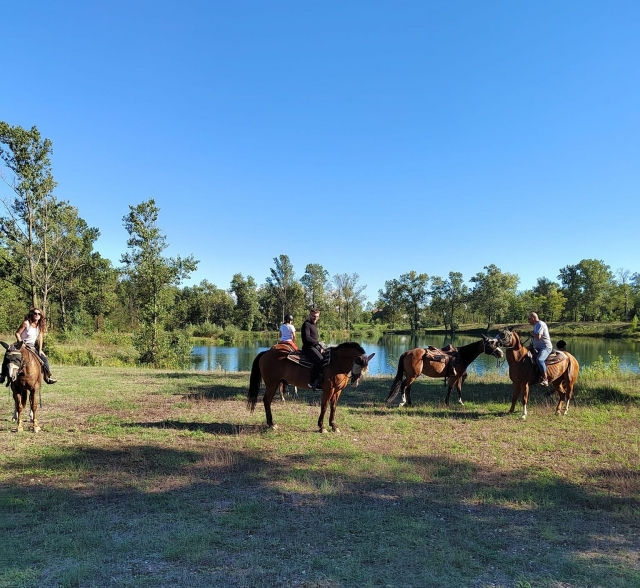  Au bord de la rivière 