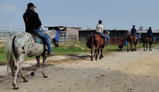 Passeggiata a cavallo Parco del Ticino 2h