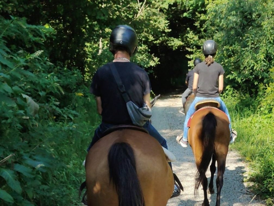 Passeggiata a cavallo Parco del Ticino