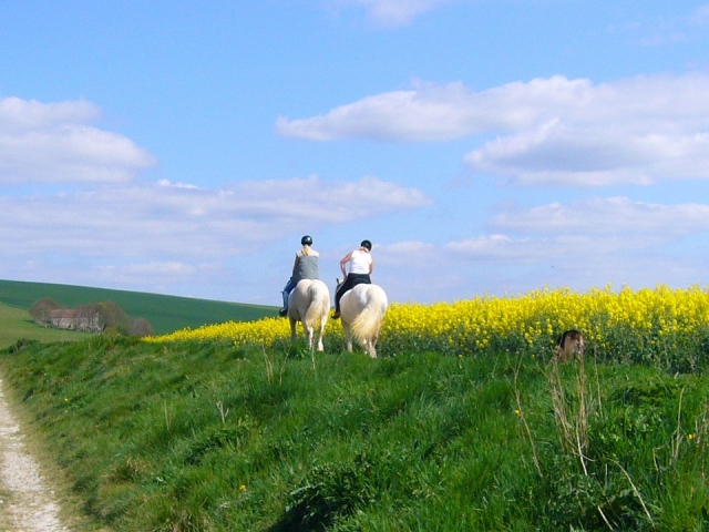 En couple au pré 