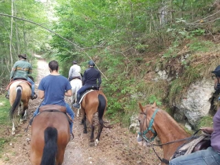 3-hour horseback excursion to Borso del Grappa