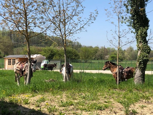  Sous le soleil et gratuitement