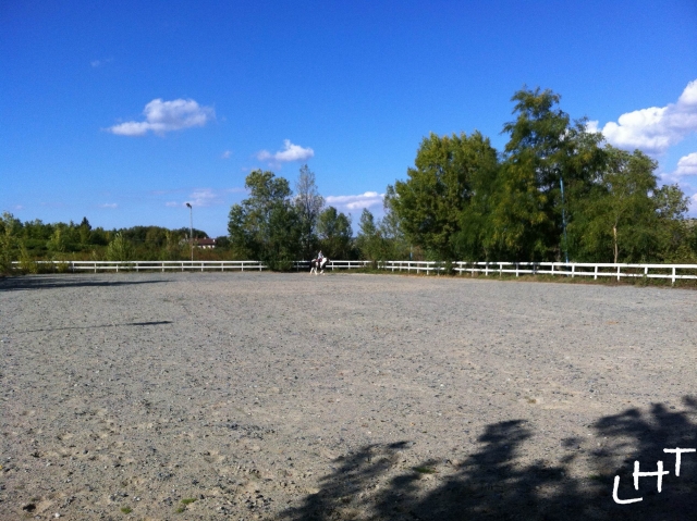  Feld 