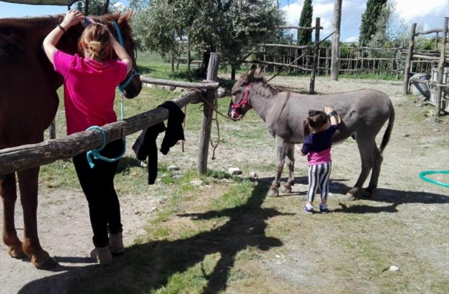 equitazione pe