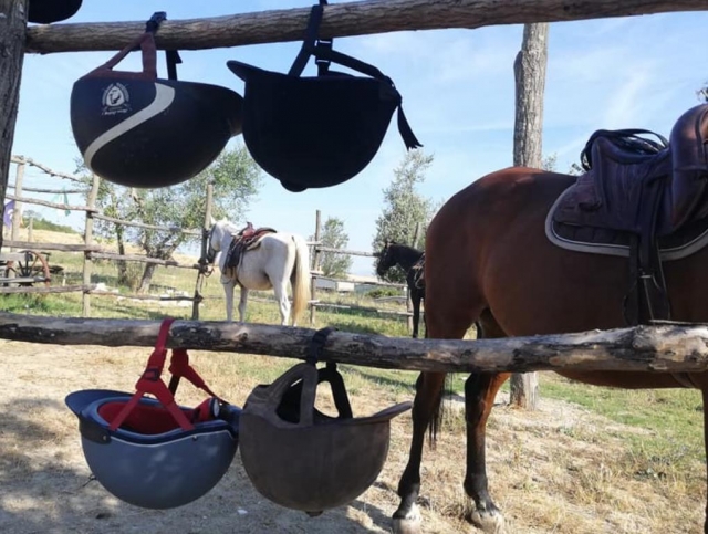 vieni a passeggiare a cavallo