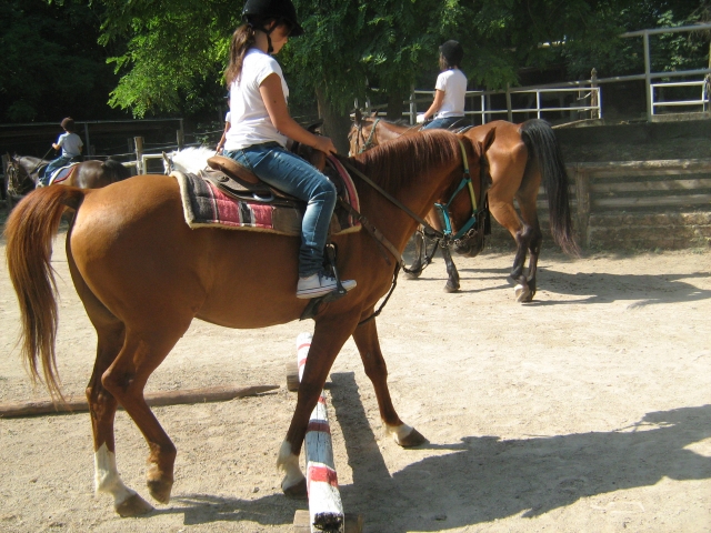  Crianças a cavalo
