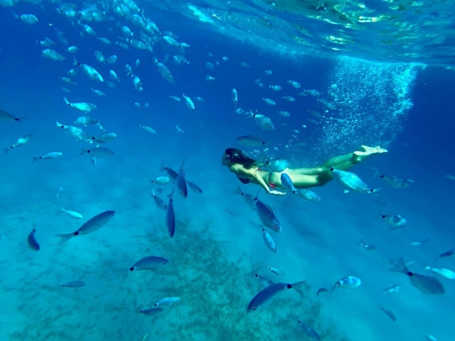 Schnorcheln zwischen den Fischen 