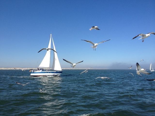  Auf offener See 
