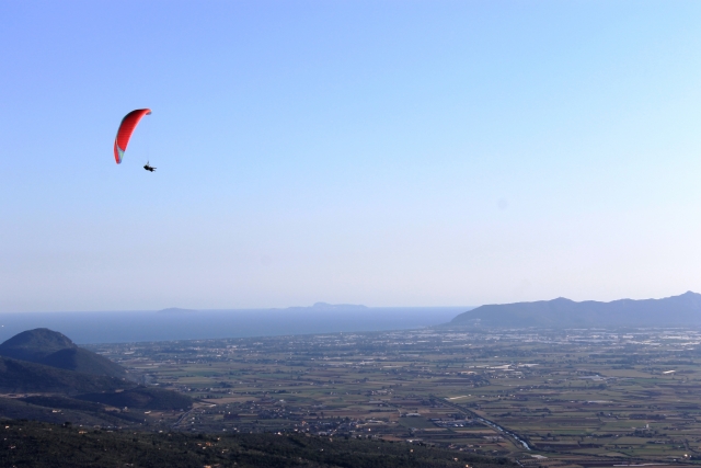 Volo