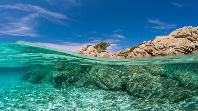 Maddalena Protected Park 