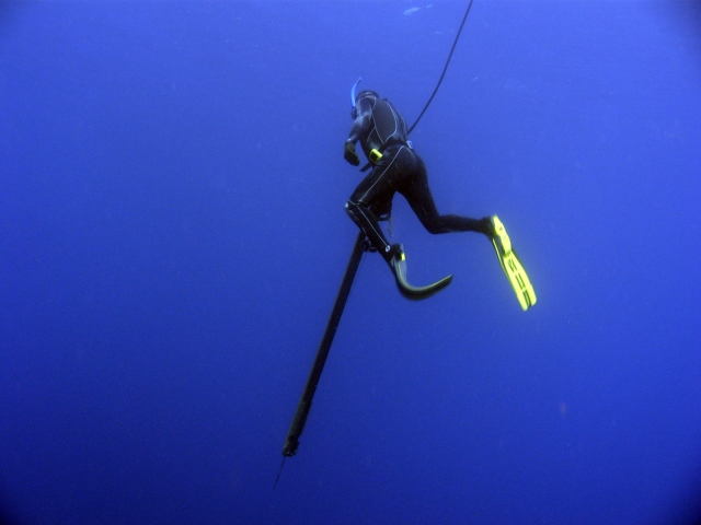  fotos de buceo 