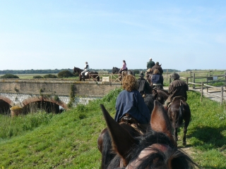 Férias a cavalo no Parque Maremma