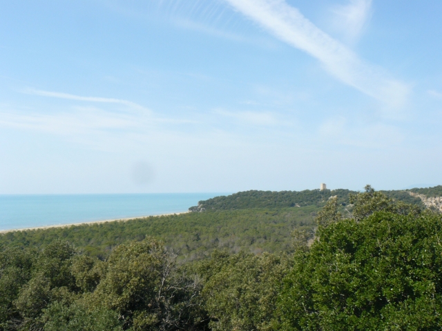  collelungo 景观 