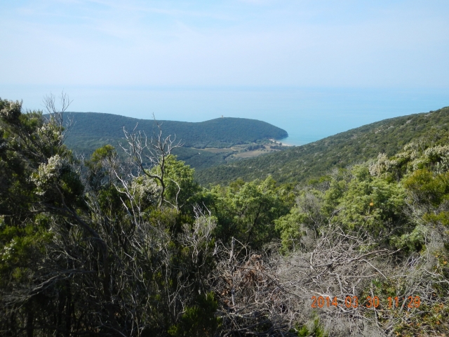  cala di forni 