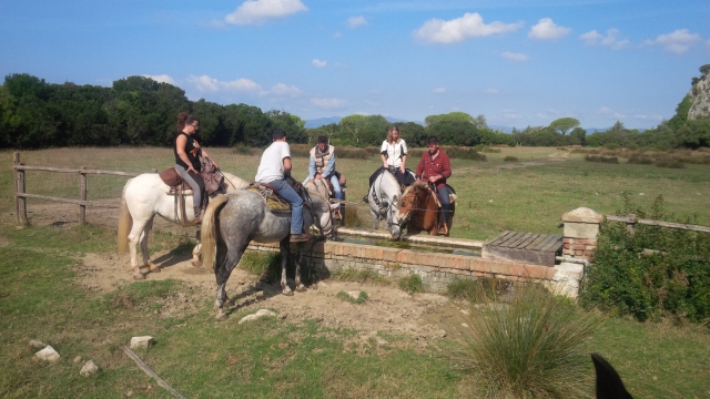 abbeveratoi che troveremo inmaremma
