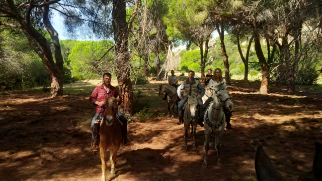 pineta cavallo maremma