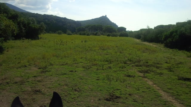 maremma e le sue meraviglie