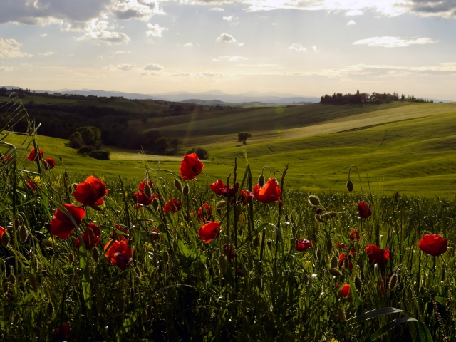 Toskanische Landschaft, ein Wunder 