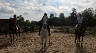Balade à cheval dans les bois d'Ardicatto 1h