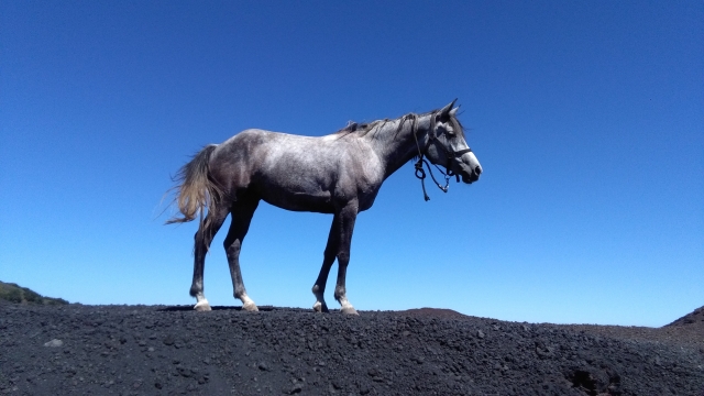  Paseo por los senderos de montaña 