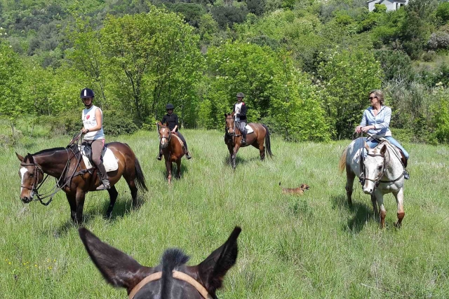  Todos juntos en la pradera de Liguria 