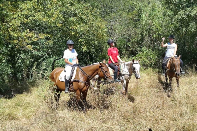  Tres caballos en compañía 