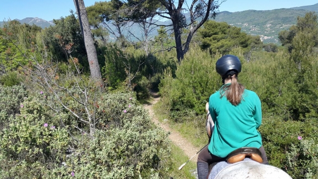  Galopando por el sendero 